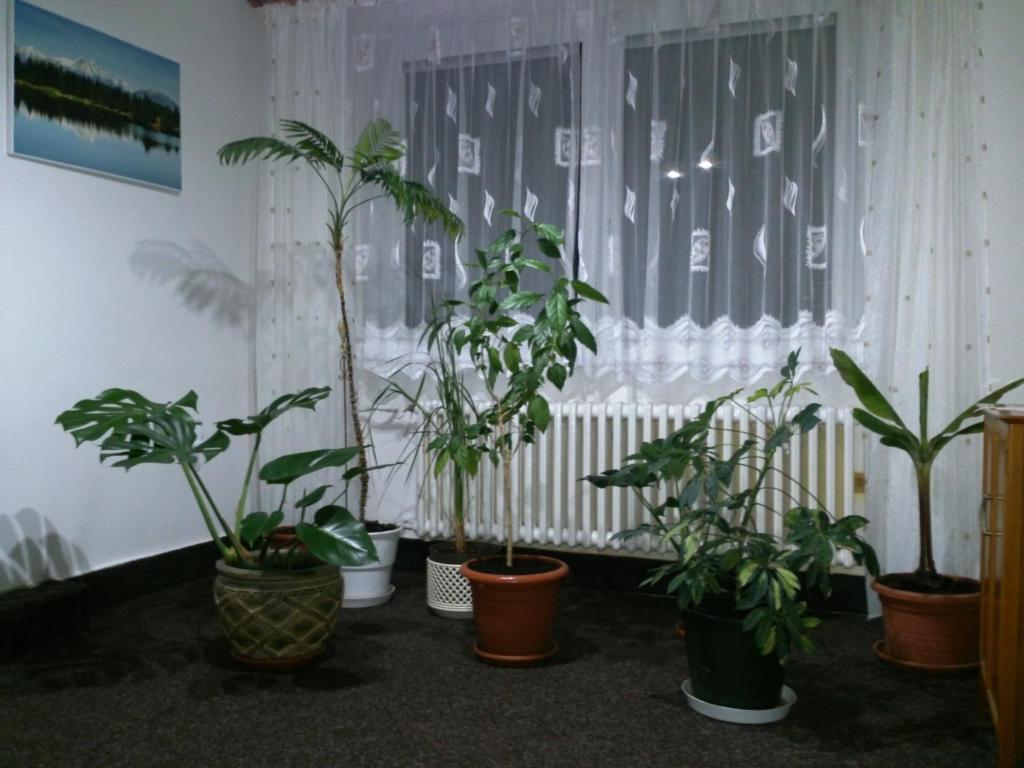Sunnystreet Guesthouse Stara Lesna Exterior photo